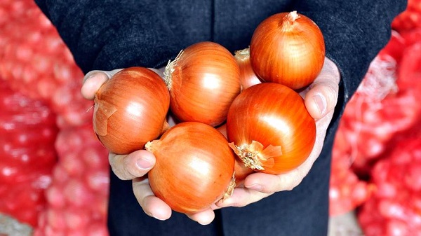 Foto - Canan Karatay uyardı! Soğanı böyle tüketmek kansere davetiye çıkarıyor