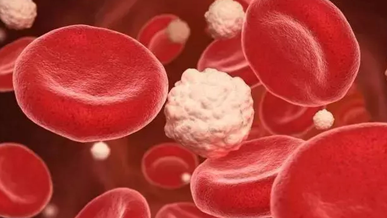 Foto - Canan Karatay, yıllarca sağlıksız diye yedirmediler diyerek açıkladı!