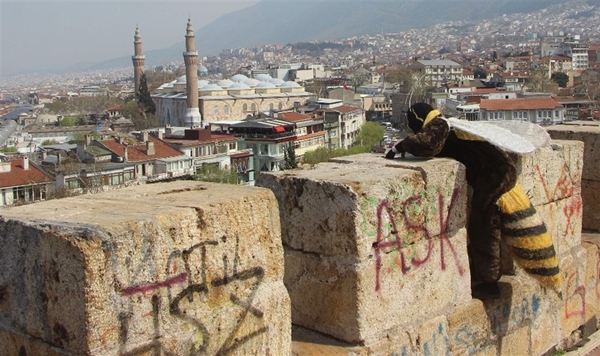 Foto - Canan Karatay'a ilginç protesto 
