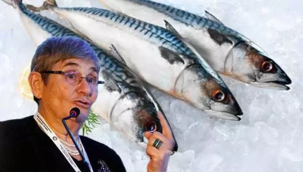 Canan Karatay'dan balık tazeliği testi: Bayat balık nasıl anlaşılır? Balık sezonu yoğunluğu başladı