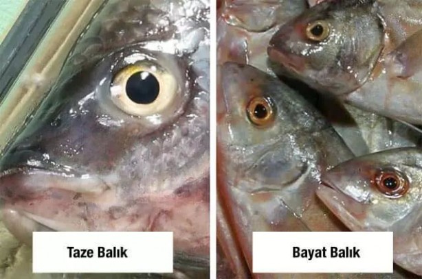 Foto - Canan Karatay'dan balık tazeliği testi: Bayat balık nasıl anlaşılır? Balık sezonu yoğunluğu başladı