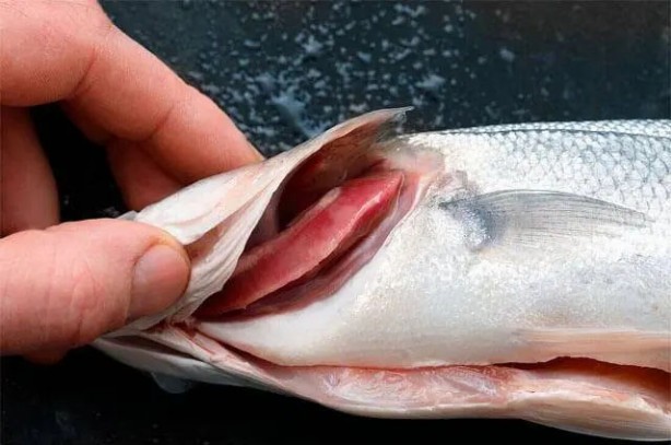 Foto - Canan Karatay'dan balık tazeliği testi: Bayat balık nasıl anlaşılır? Balık sezonu yoğunluğu başladı