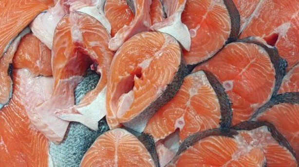 Foto - Canan Karatay'dan bayat balığı anlamanın tüyoları! Suda bekletince ortaya çıkıyor