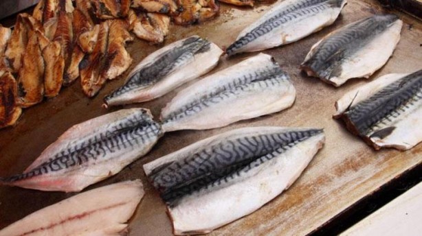 Foto - Canan Karatay'dan bayat balığı anlamanın tüyoları! Suda bekletince ortaya çıkıyor