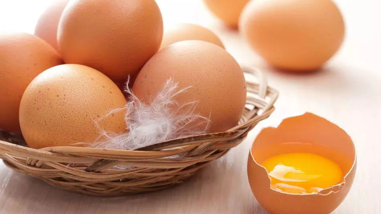 Foto - Canan Karatay beyni geliştiren 4 besin diyerek üstüne basa basa açıkladı! Yeni önerisi, duyan aldı!