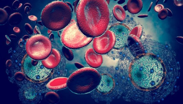 Foto - Canan Karatay'dan çarpıcı uyarı: Sizi koyun haline getiriyor