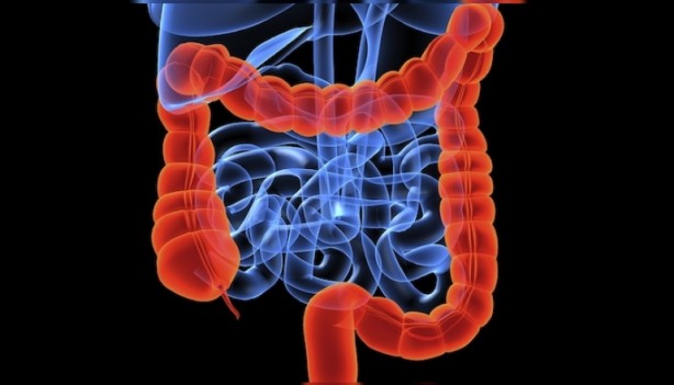 Foto - Canan Karatay'dan çarpıcı uyarı: Sizi koyun haline getiriyor