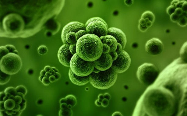 Foto - Canan Karatay'dan çarpıcı uyarı: Sizi koyun haline getiriyor