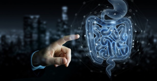 Foto - Canan Karatay'dan ezber bozan açıklamalar! Neden ekmekten uzak durmalıyız?