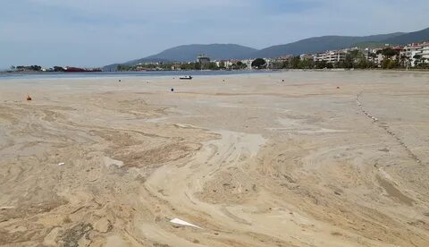 Foto - Canan Karatay'dan ezber bozan açıklamalar! Neden ekmekten uzak durmalıyız?