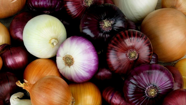 Foto - Canan Karatay'dan ''Her öğün tüketin'' uyarısı: Faydalarına inanamayacaksınız!