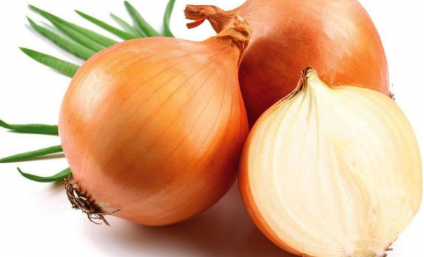 Foto - Canan Karatay'dan ''Her öğün tüketin'' uyarısı: Faydalarına inanamayacaksınız!