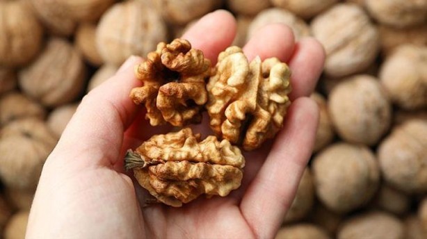 Foto - Canan Karatay'dan kurtarıcı 2 besin tavsiyesi! Ekmek yemek aklınıza bile gelmeyecek