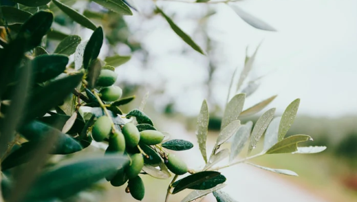 Foto - Canan Karatay’dan Türkiye'yi sallayacak yatırım tavsiyesi! Başka yolu yok, bunu yapan ayakta kalır