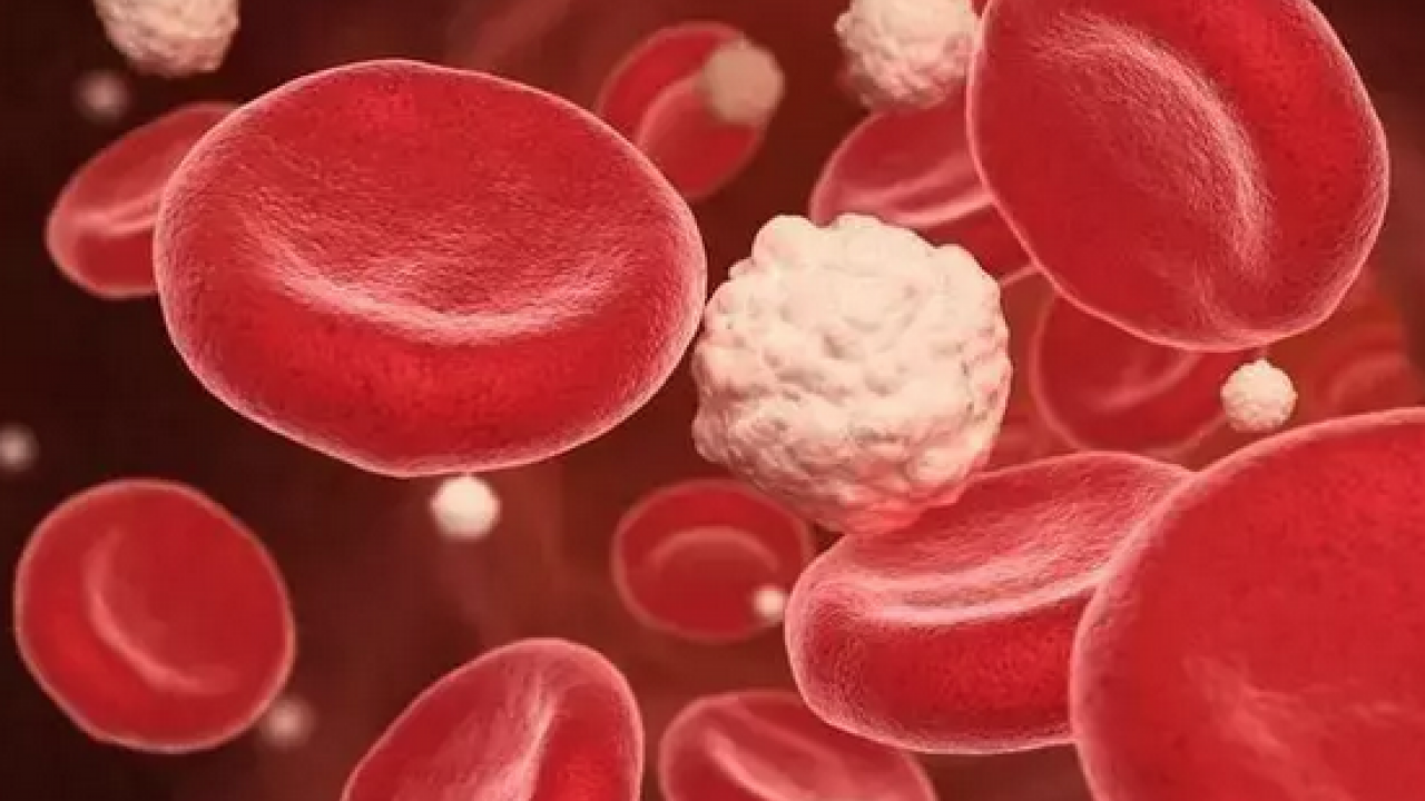 Foto - Canan Karatay'dan uyarı: Yıllarca sağlıksız diye yedirmediler! Kaşık kaşık tüketin diyerek açıkladı! Meğer insülin direncini kırıyor!