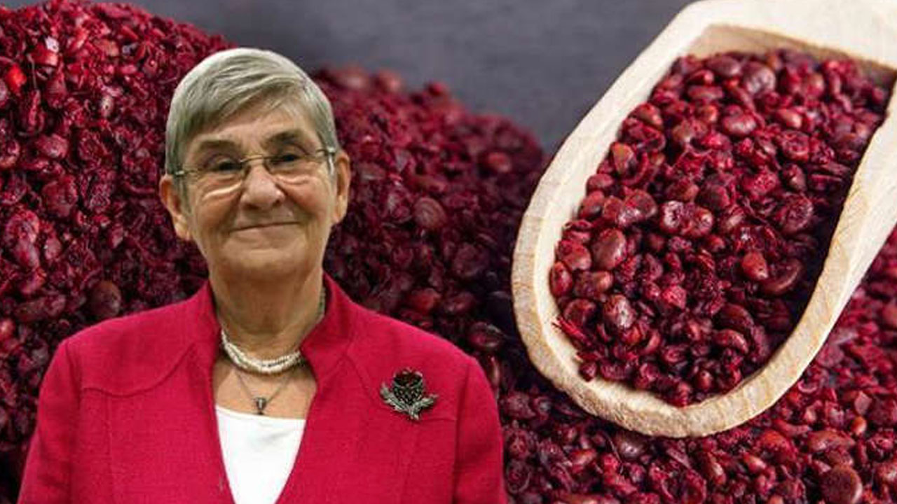 Foto - Canan Karatay'ın tarifi bunu mutlaka deneyin! Bakın neler oluyor!