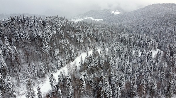 Foto - Çangal Dağı'ndaki kar manzarası havadan görüntülendi