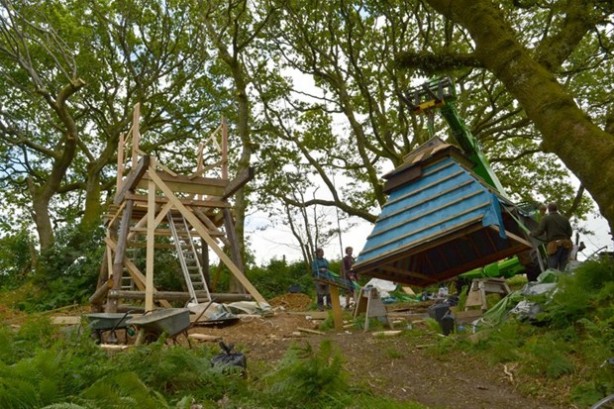 Foto - Canı sıkılınca bunu yaptı