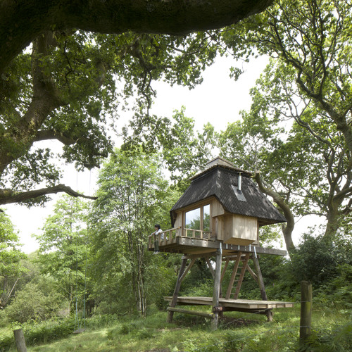 Foto - Canı sıkılınca bunu yaptı