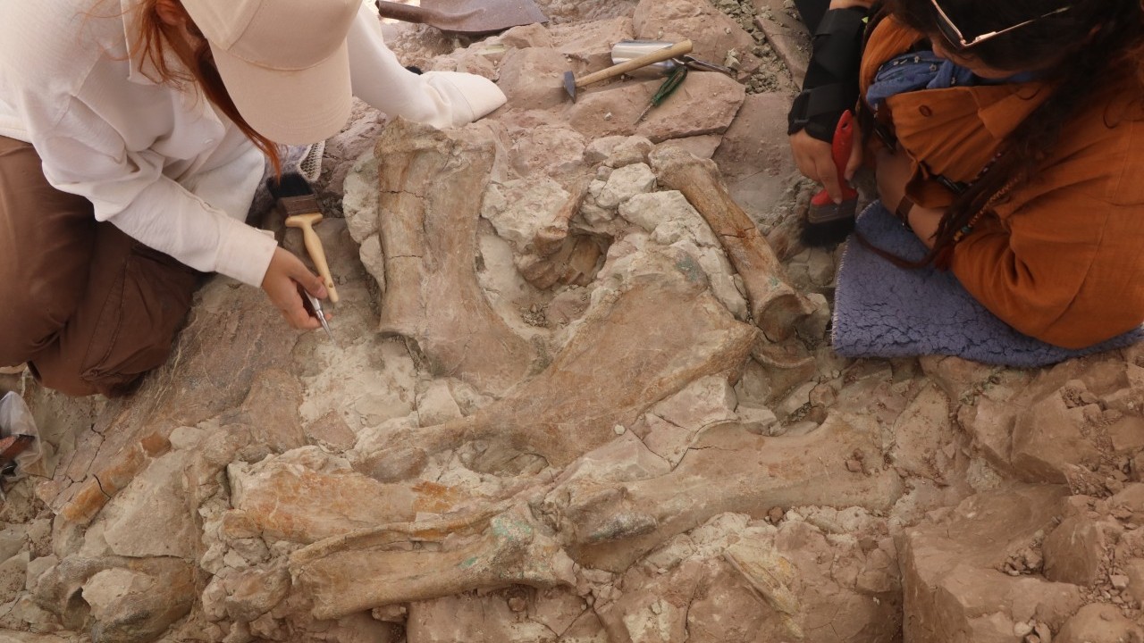 Foto - Çankırı'da 9 milyon yıllık keşif