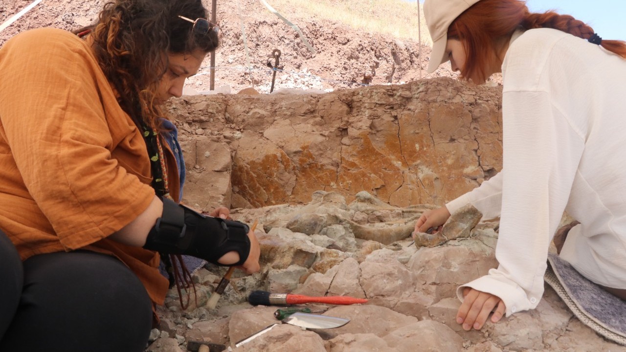 Çankırı'da 9 milyon yıllık keşif