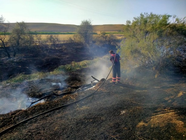 Foto - Çankırı'da arazi yangını