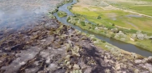 Çankırı’da çıkan yangında 80 dönümlük mera kül oldu