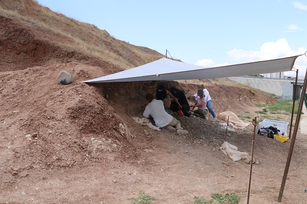 Foto - Çankırı’da heyecanlandıran gelişme! Anadolu topraklarında 9 milyon yıl önceye ait kemik bulundu