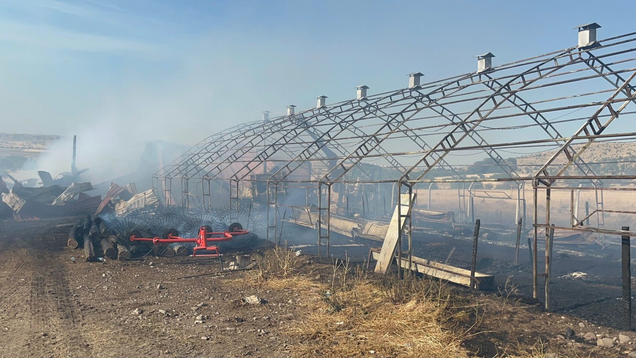 Foto - Çankırı’da tarım arazisi küle döndü! Hayvanlar da telef oldu