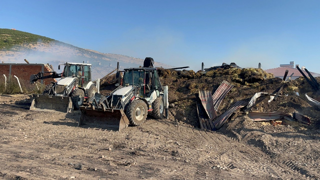 Foto - Çankırı’da tarım arazisi küle döndü! Hayvanlar da telef oldu