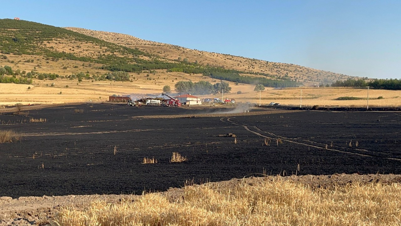 Foto - Çankırı’da tarım arazisi küle döndü! Hayvanlar da telef oldu
