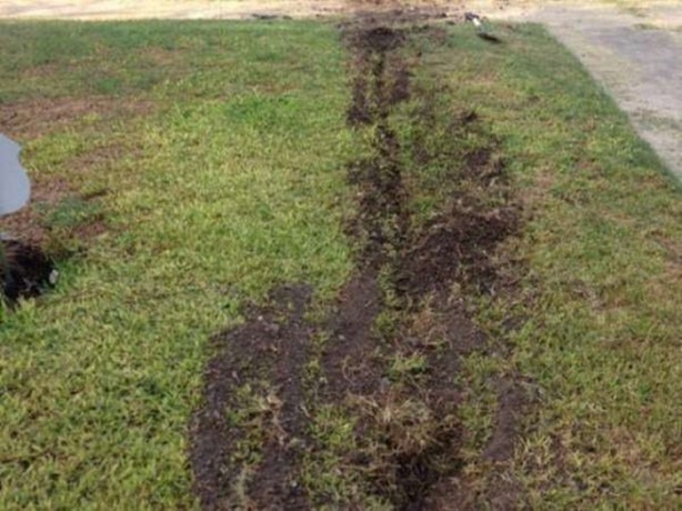 Foto - Canları sıkılınca bakın ne yaptılar...