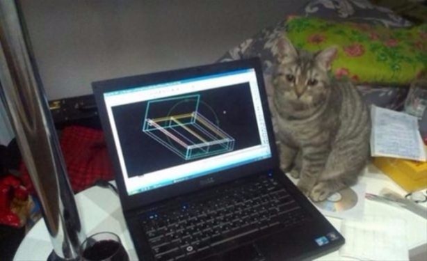 Foto - Canları sıkılınca bakın ne yaptılar...