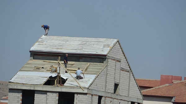 Foto - Canlarını adeta hiçe saydılar
