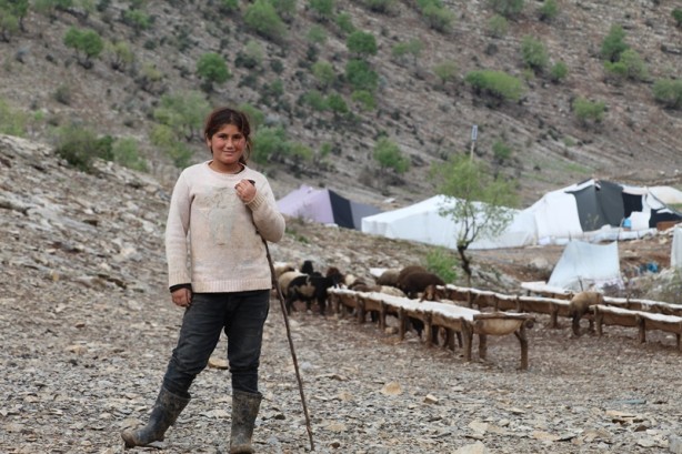 Foto - Canlarını zor kurtardılar! 205 küçükbaş hayvan ise...