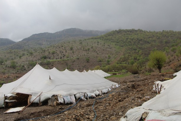 Foto - Canlarını zor kurtardılar! 205 küçükbaş hayvan ise...