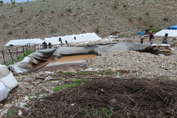 Foto - Canlarını zor kurtardılar! 205 küçükbaş hayvan ise...
