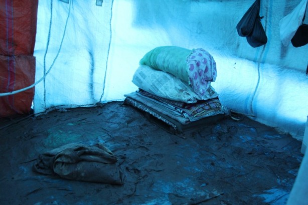 Foto - Canlarını zor kurtardılar! 205 küçükbaş hayvan ise...