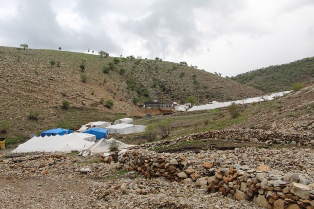 Foto - Canlarını zor kurtardılar! 205 küçükbaş hayvan ise...