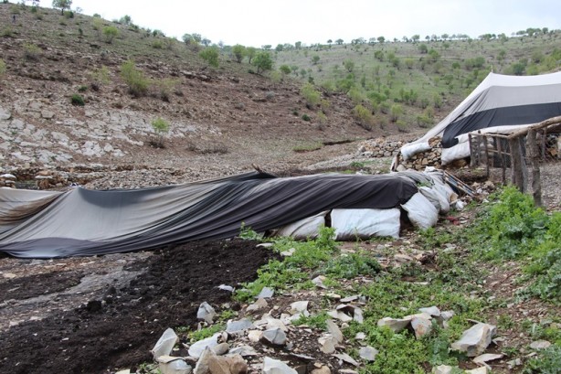 Foto - Canlarını zor kurtardılar! 205 küçükbaş hayvan ise...