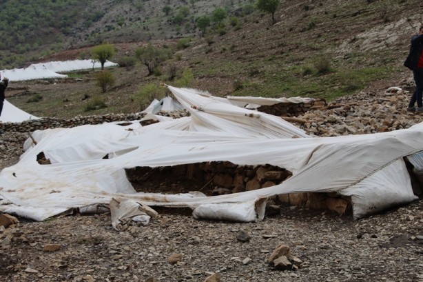 Foto - Canlarını zor kurtardılar! 205 küçükbaş hayvan ise...