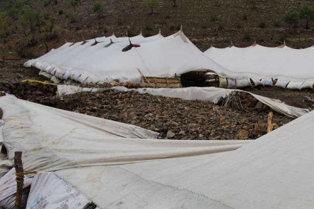 Canlarını zor kurtardılar! 205 küçükbaş hayvan ise...