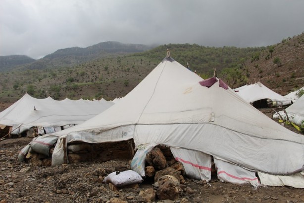 Foto - Canlarını zor kurtardılar! 205 küçükbaş hayvan ise...