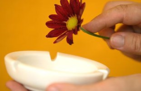 Foto - Canlı çiçeklerin ömrü nasıl uzatılır? İşte cevabı...