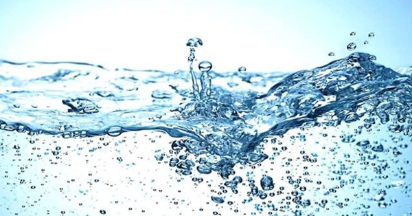 Foto - Canlı çiçeklerin ömrü nasıl uzatılır? İşte cevabı...