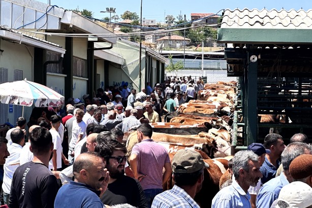 Foto - Canlı hayvan pazarında kurban yoğunluğu!