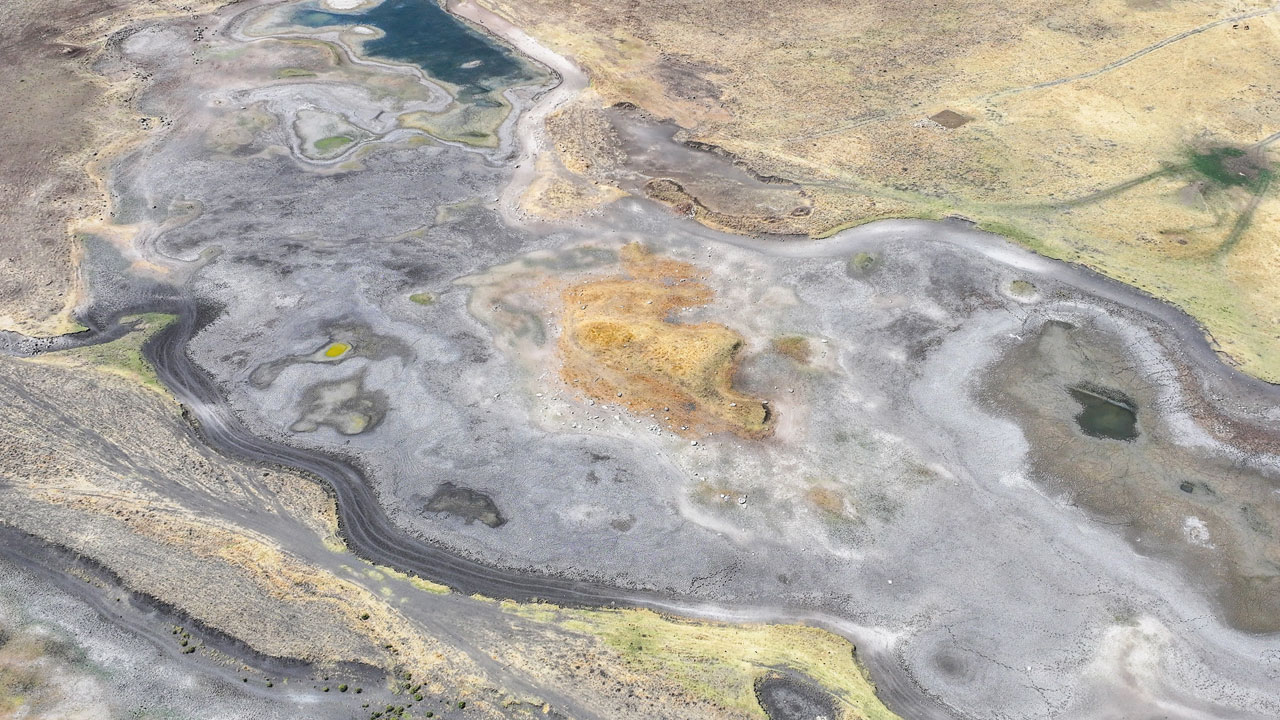 Foto - Canlılar yok oluyor! Diyarbakır’da ekosistem çöküyor