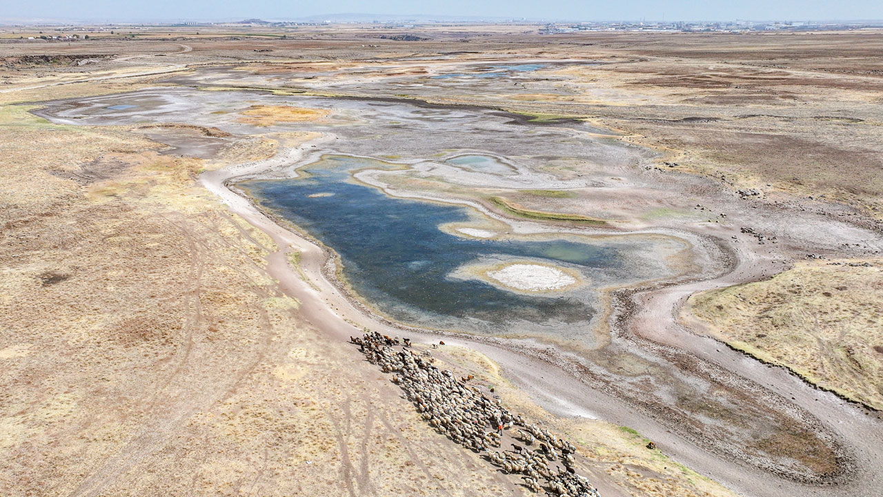 Foto - Canlılar yok oluyor! Diyarbakır’da ekosistem çöküyor
