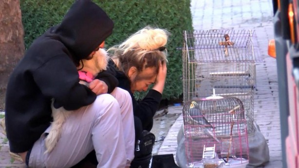 Foto - Çaresizce izlediler! Gözyaşlarını tutamadı