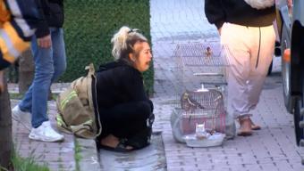 Foto - Çaresizce izlediler! Gözyaşlarını tutamadı